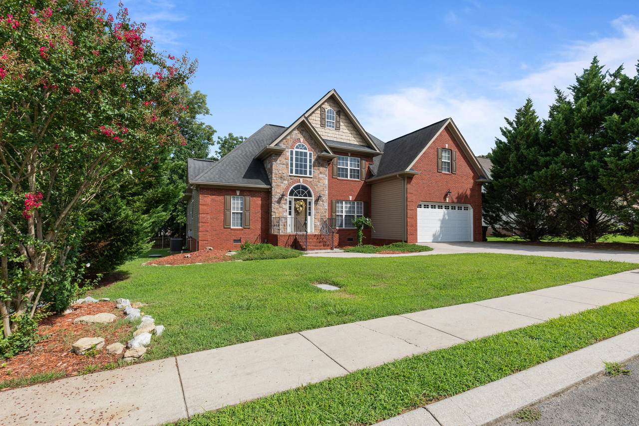 8166 Fox Glove Dr - Photo 1
