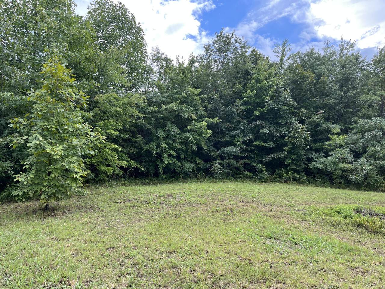 Lot 4 Poplar Rd - Photo 1