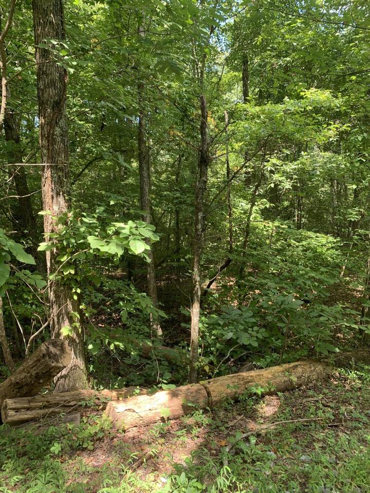 0 Millsaps Coal Rd - Photo 1