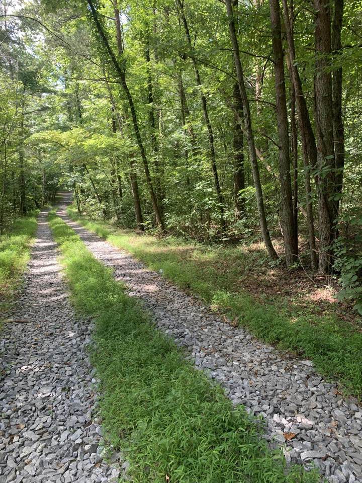 https://bt-photos.global.ssl.fastly.net/chattanooga/1280_boomver_1_1361811-2.jpg