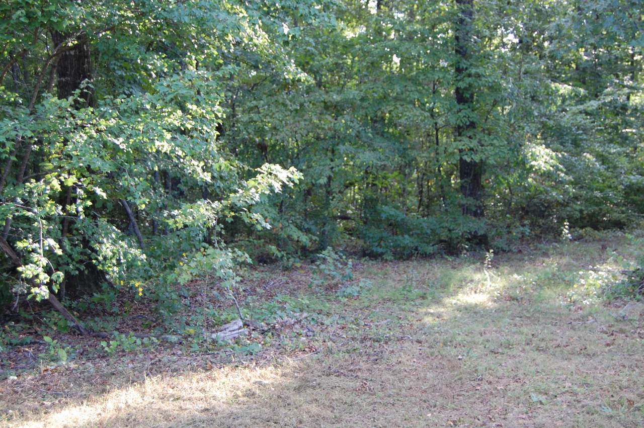 https://bt-photos.global.ssl.fastly.net/chattanooga/1280_boomver_2_1362052-2.jpg