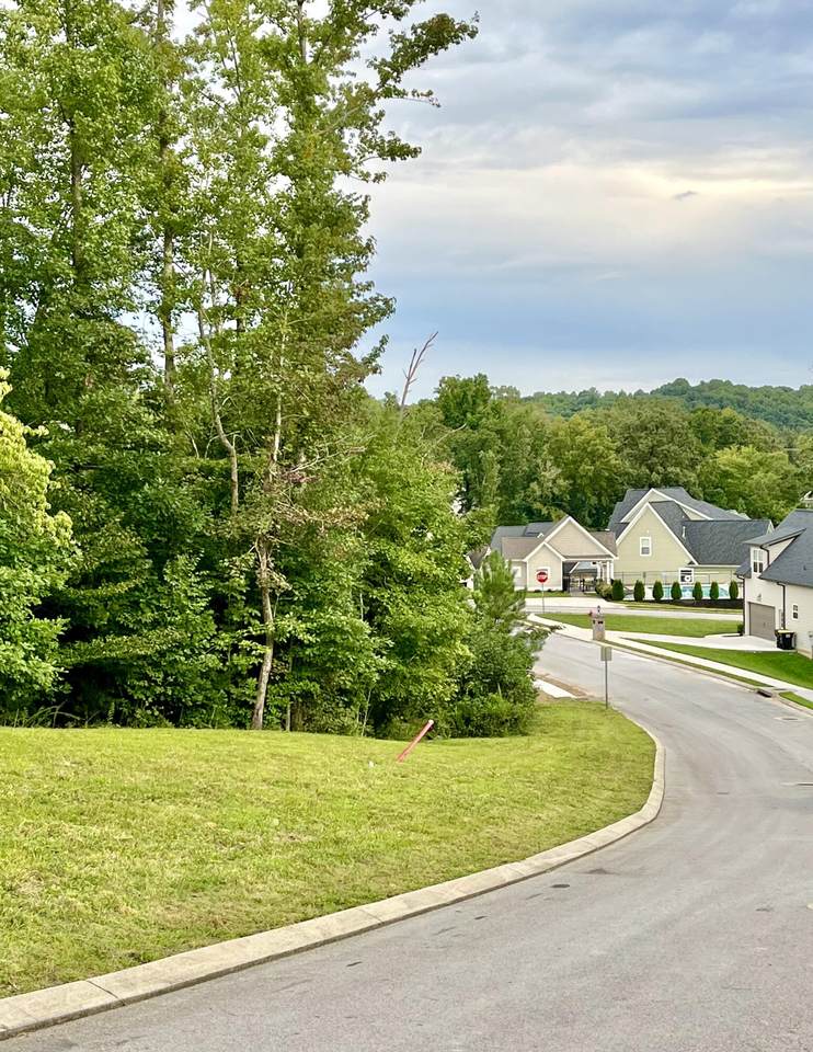 3714 Lacy Leaf Ln - Photo 1