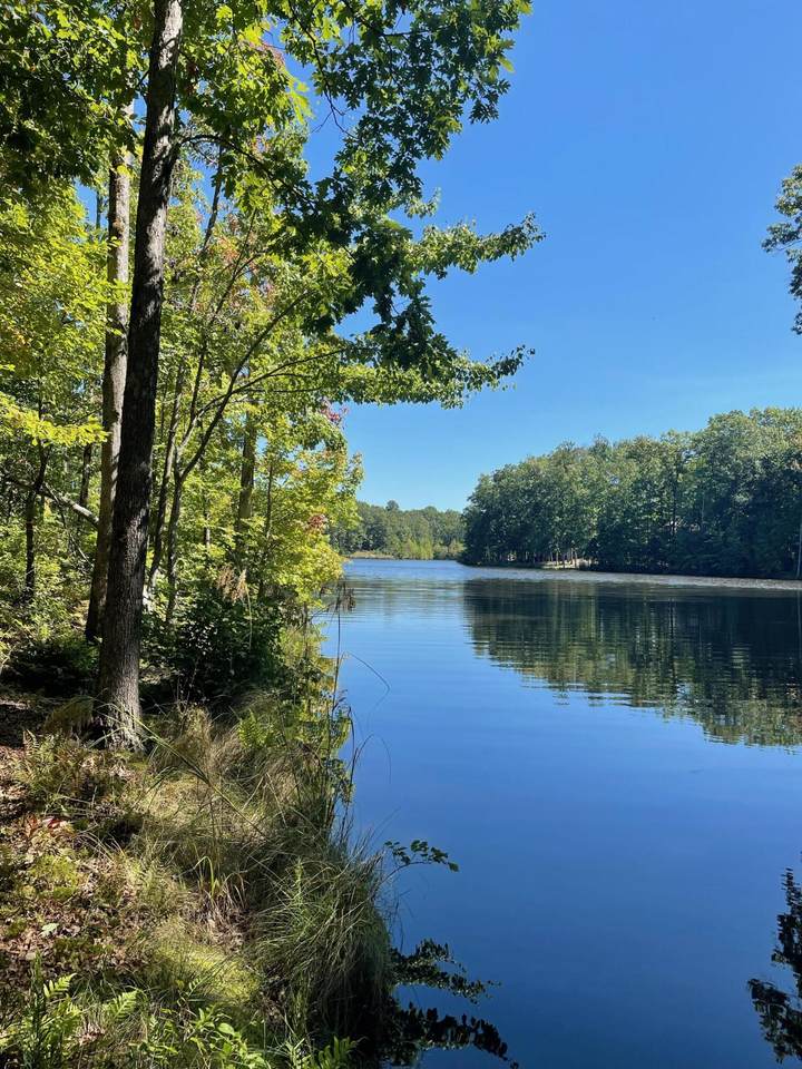 175 Lake Louisa Lp - Photo 1