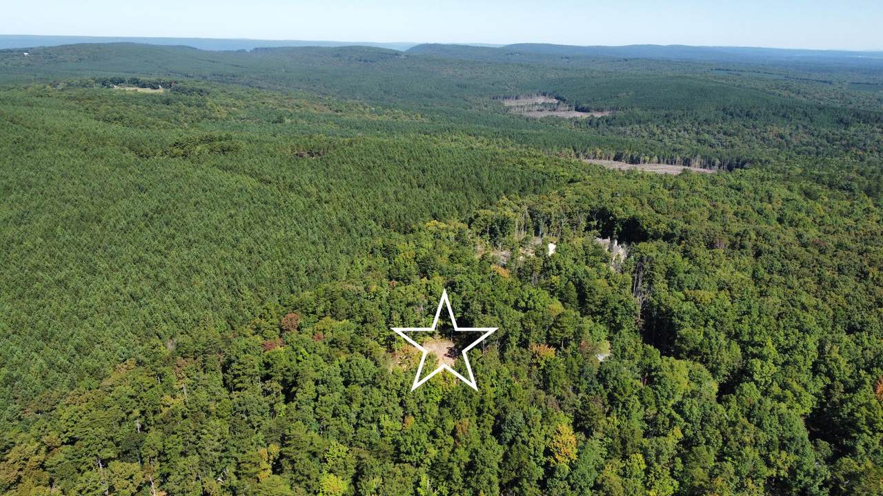 0 Horseshoe Bend Rd - Photo 1