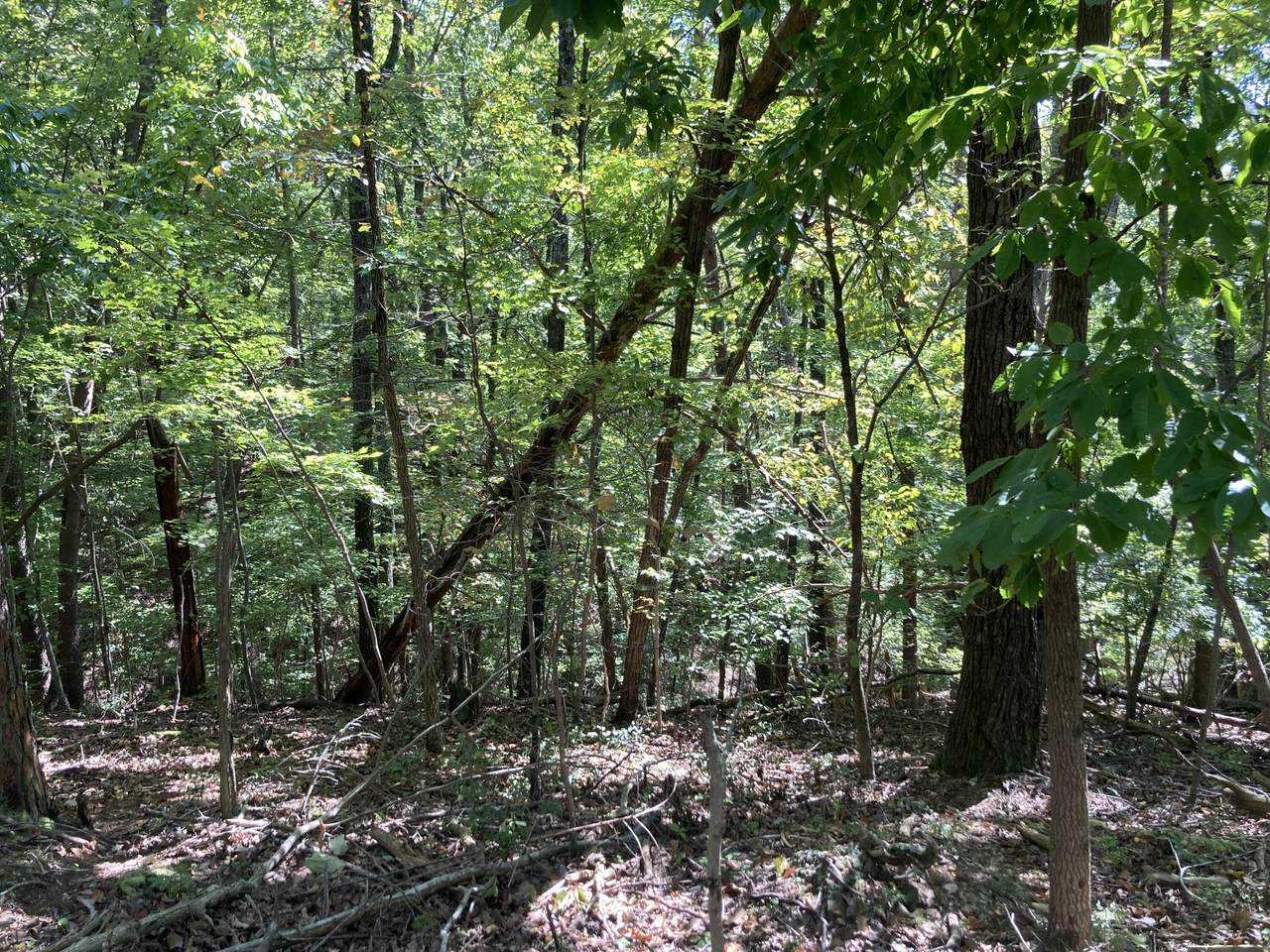 9610 Standifer Gap Rd - Photo 1