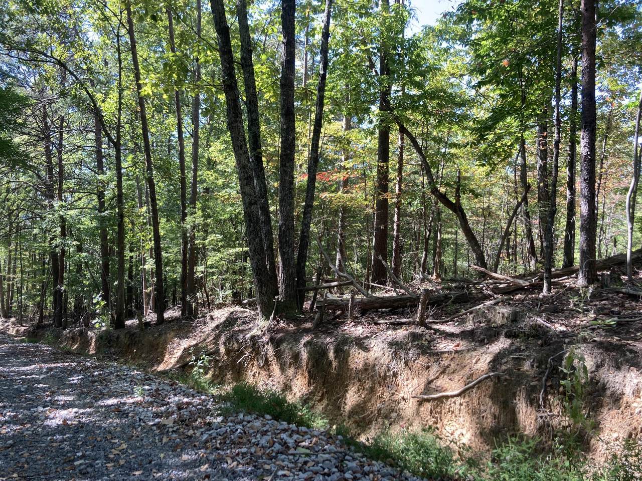 https://bt-photos.global.ssl.fastly.net/chattanooga/1280_boomver_1_1363803-2.jpg