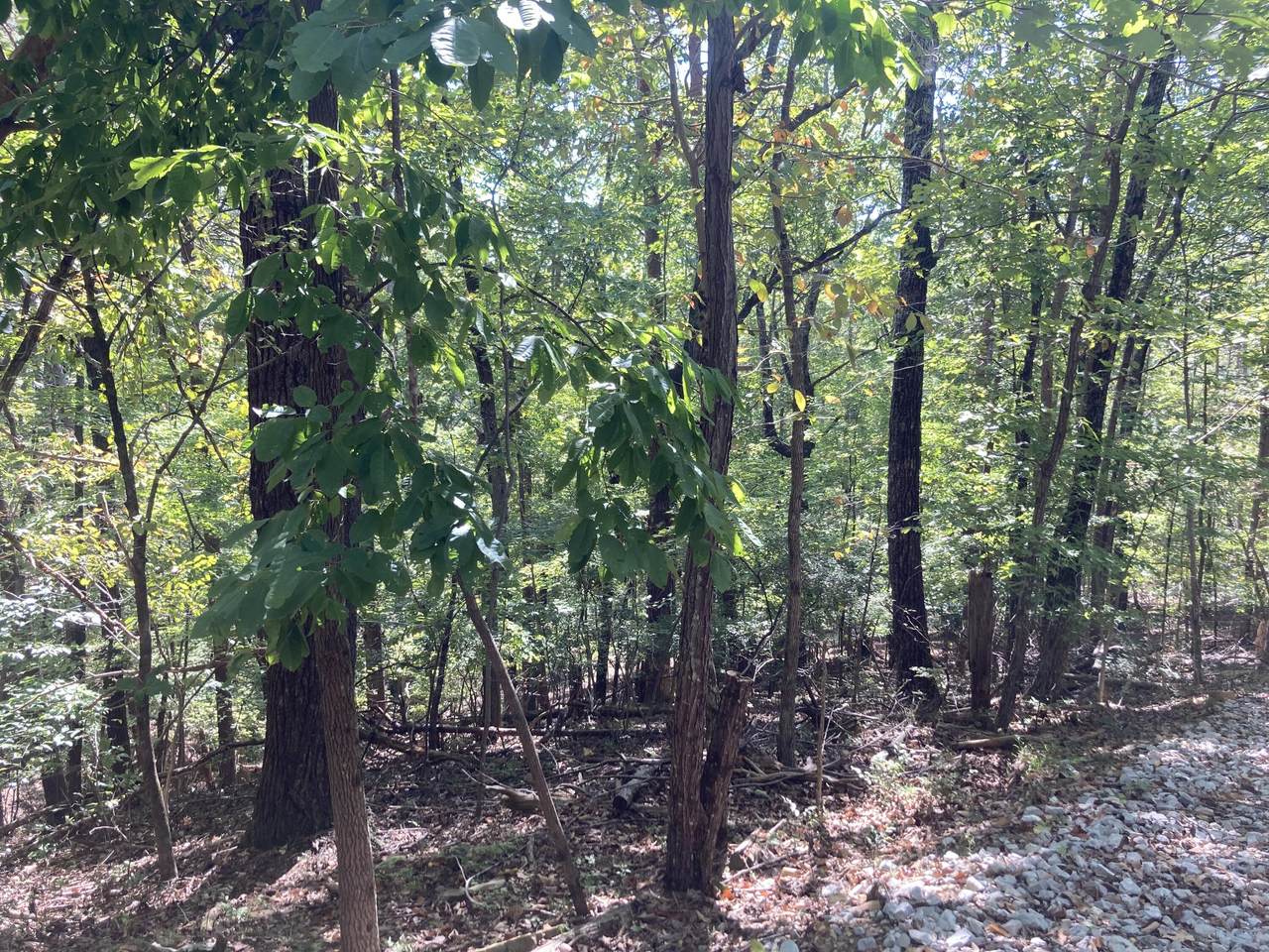 https://bt-photos.global.ssl.fastly.net/chattanooga/1280_boomver_1_1363803-2.jpg