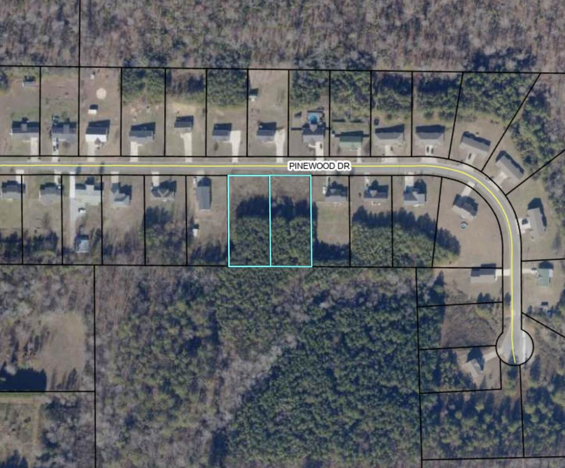 262 Pinewood Dr - Photo 1