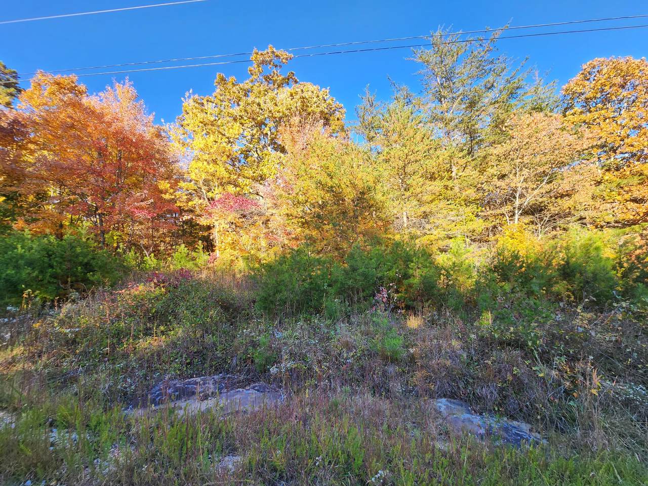 0 Big Lake Dr - Photo 1