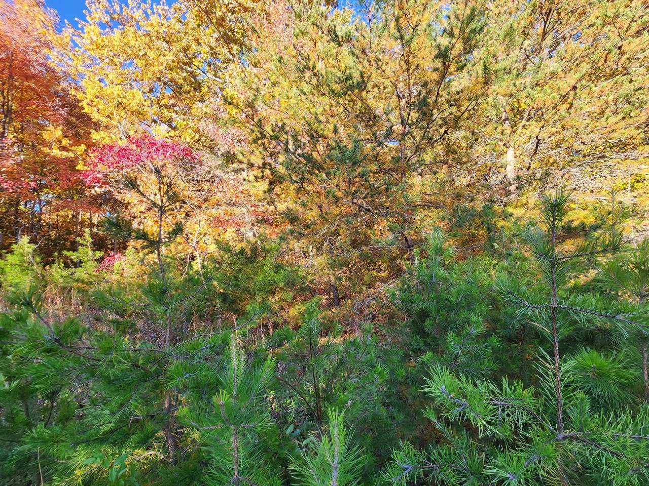 https://bt-photos.global.ssl.fastly.net/chattanooga/1280_boomver_1_1364001-2.jpg