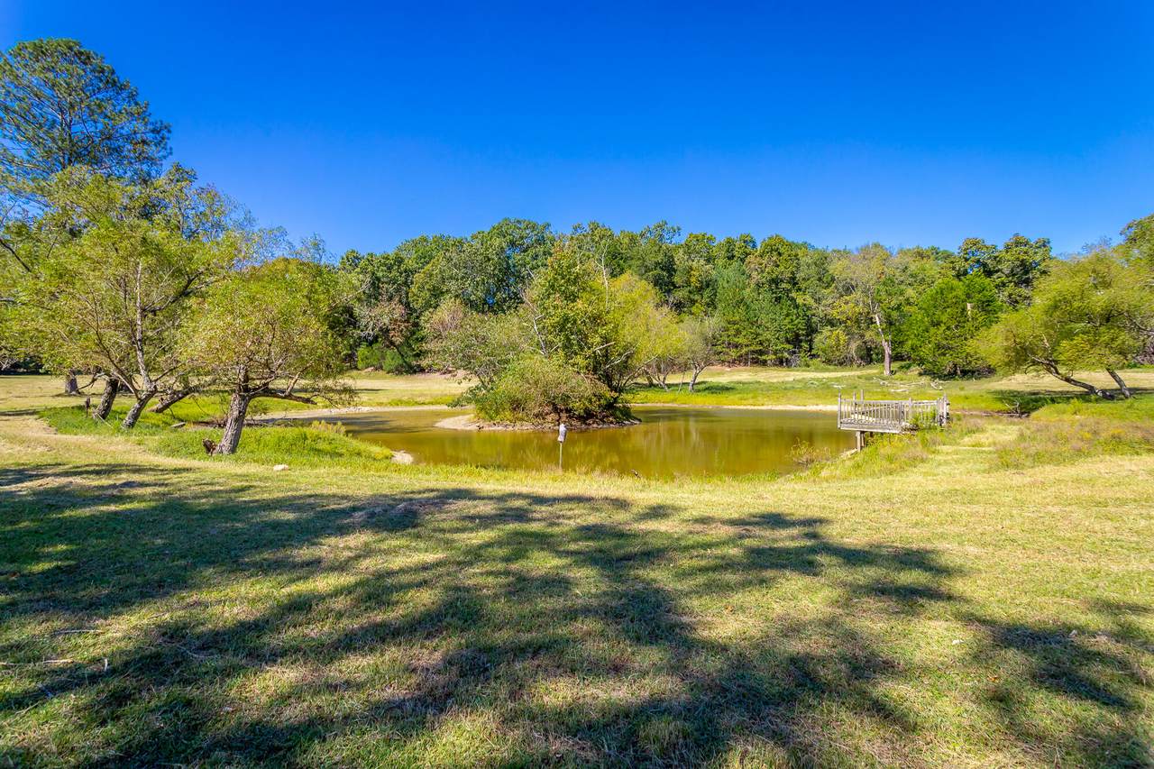 https://bt-photos.global.ssl.fastly.net/chattanooga/1280_boomver_1_1364302-2.jpg