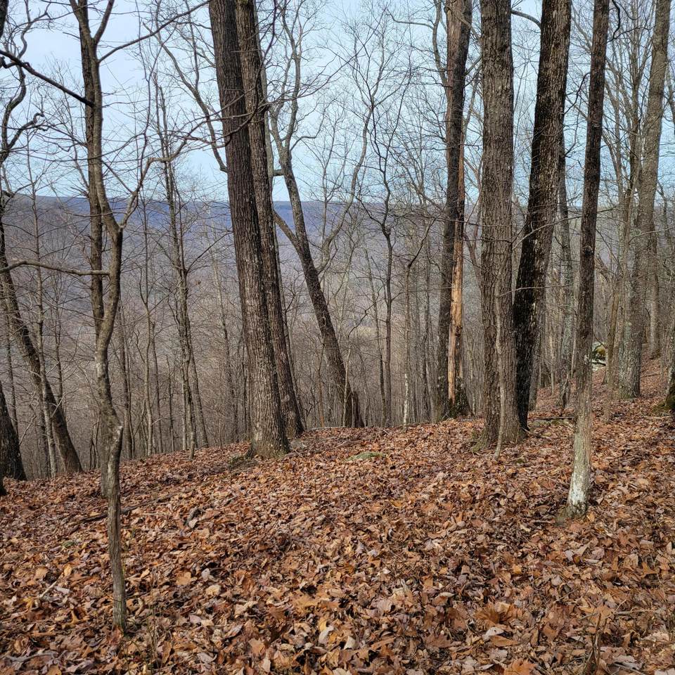 https://bt-photos.global.ssl.fastly.net/chattanooga/1280_boomver_1_1364505-2.jpg