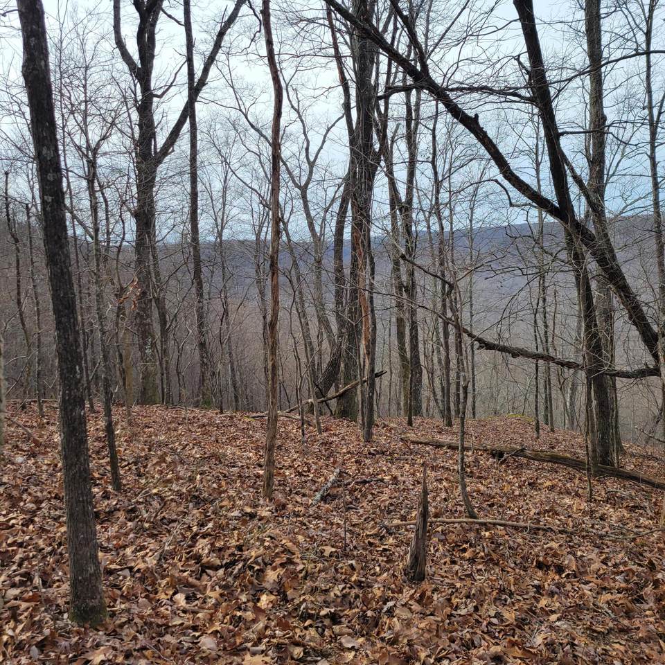 https://bt-photos.global.ssl.fastly.net/chattanooga/1280_boomver_1_1364505-2.jpg