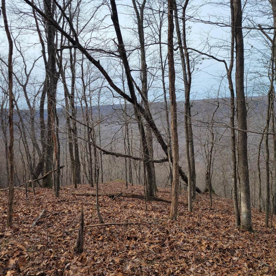 https://bt-photos.global.ssl.fastly.net/chattanooga/1280_boomver_1_1364505-2.jpg