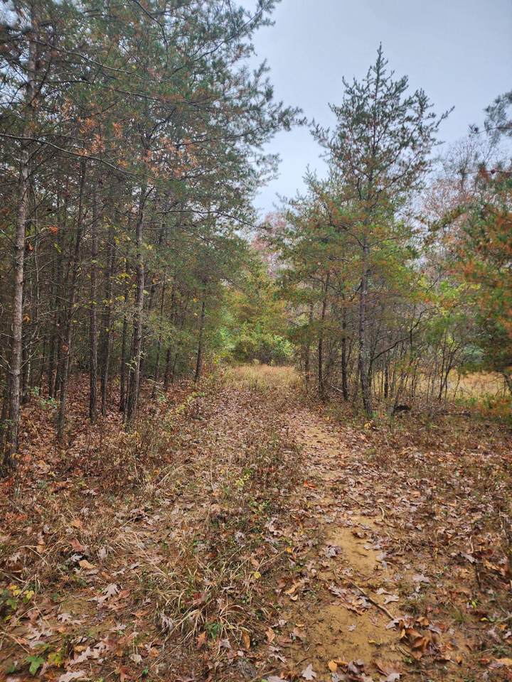 0 Hickory Dr - Photo 1
