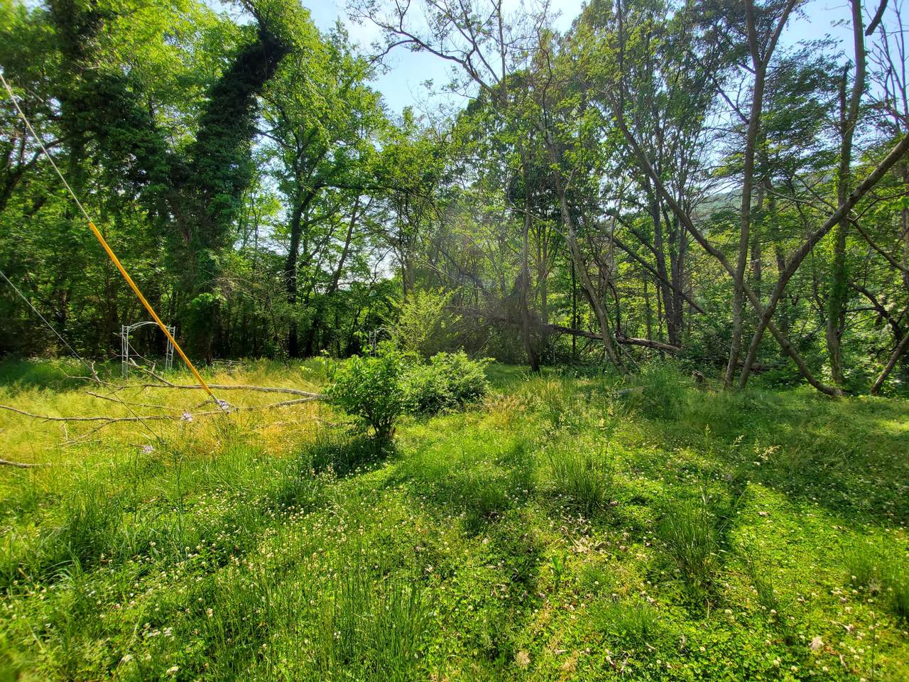 11058 & 62 Loop Rd - Photo 1