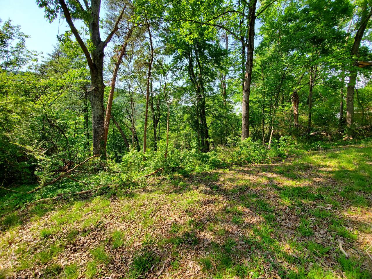 https://bt-photos.global.ssl.fastly.net/chattanooga/1280_boomver_1_1364901-2.jpg