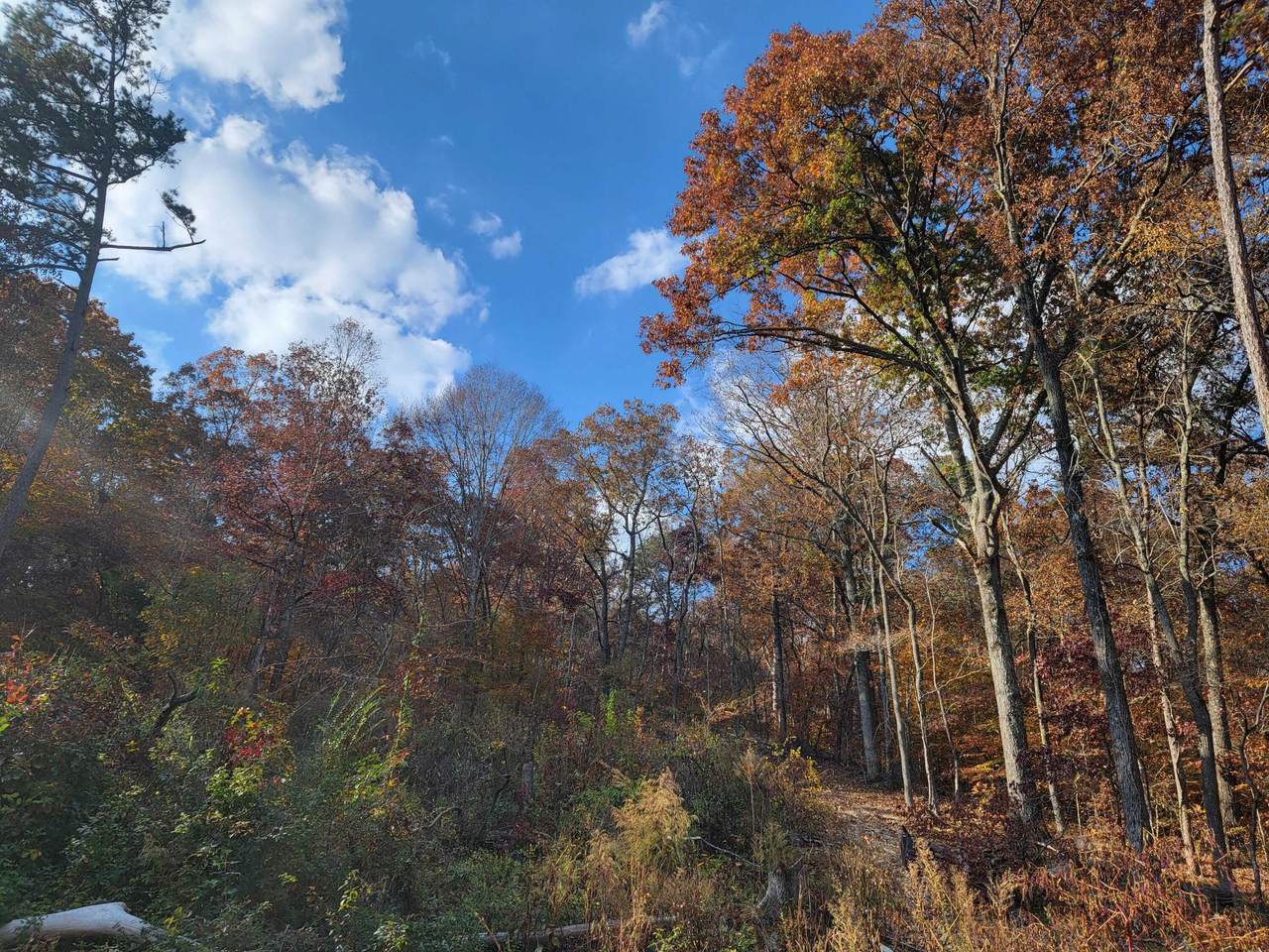https://bt-photos.global.ssl.fastly.net/chattanooga/1280_boomver_1_1365013-2.jpg