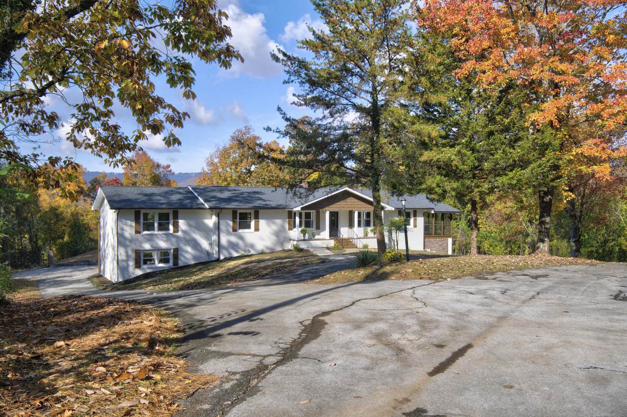 3901 Knollwood Dr - Photo 1