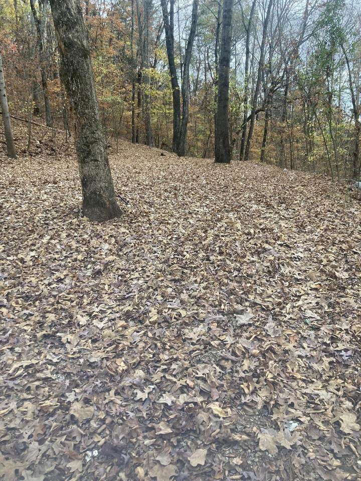 8754 Candies Creek Ridge Rd - Photo 1