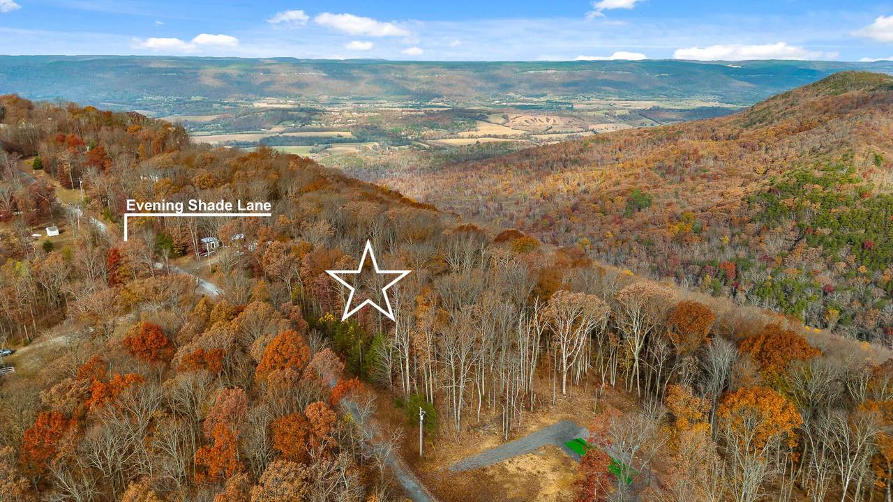 4.47 Acres Evening Shade Ln - Photo 1