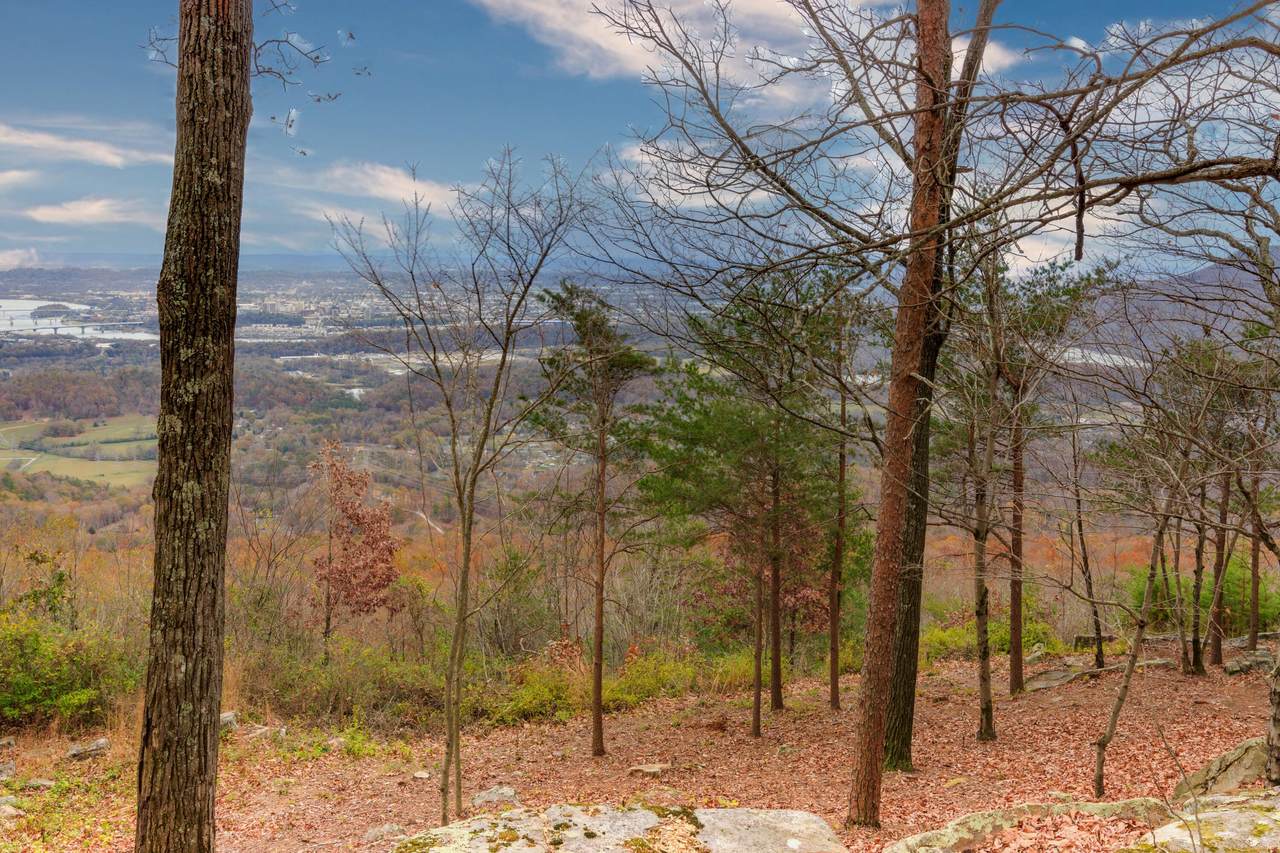 https://bt-photos.global.ssl.fastly.net/chattanooga/1280_boomver_1_1365325-2.jpg