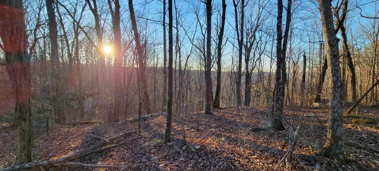 0 Pittsburg Mountain Rd - Photo 1