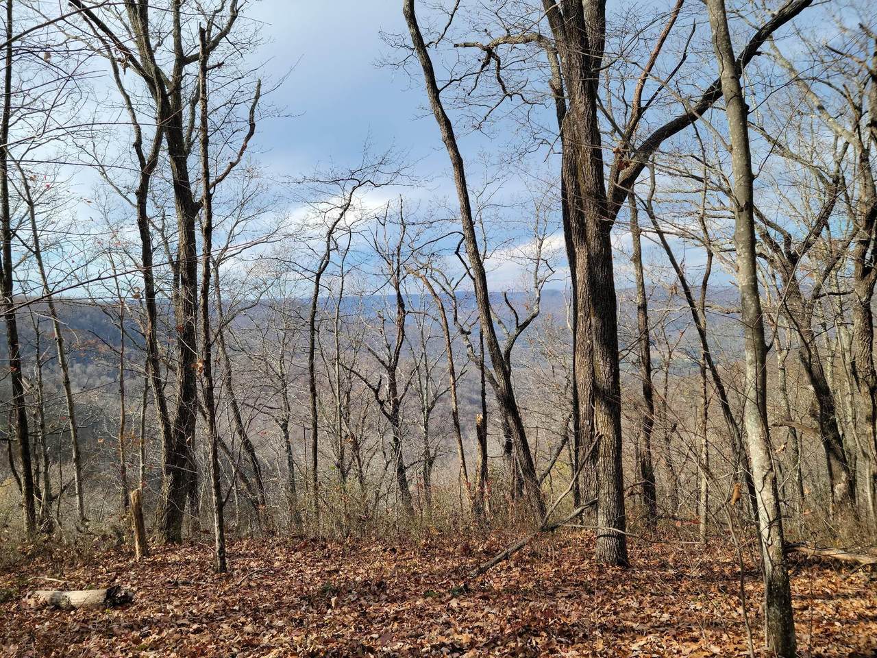 https://bt-photos.global.ssl.fastly.net/chattanooga/1280_boomver_1_1365638-2.jpg