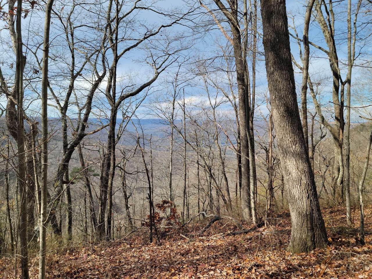 https://bt-photos.global.ssl.fastly.net/chattanooga/1280_boomver_1_1365638-2.jpg