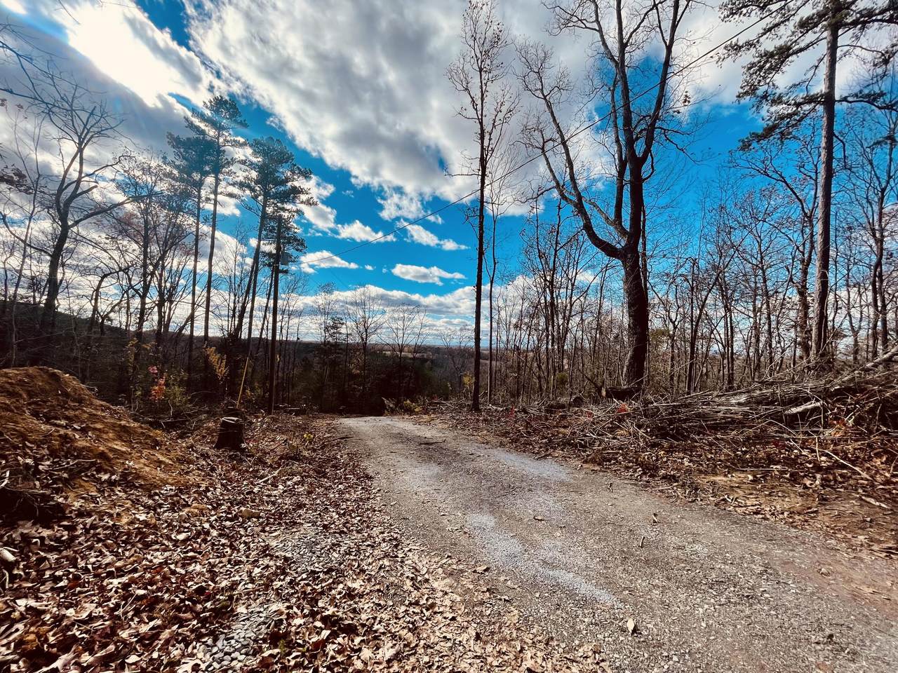 1866 Horns Creek Rd - Photo 1
