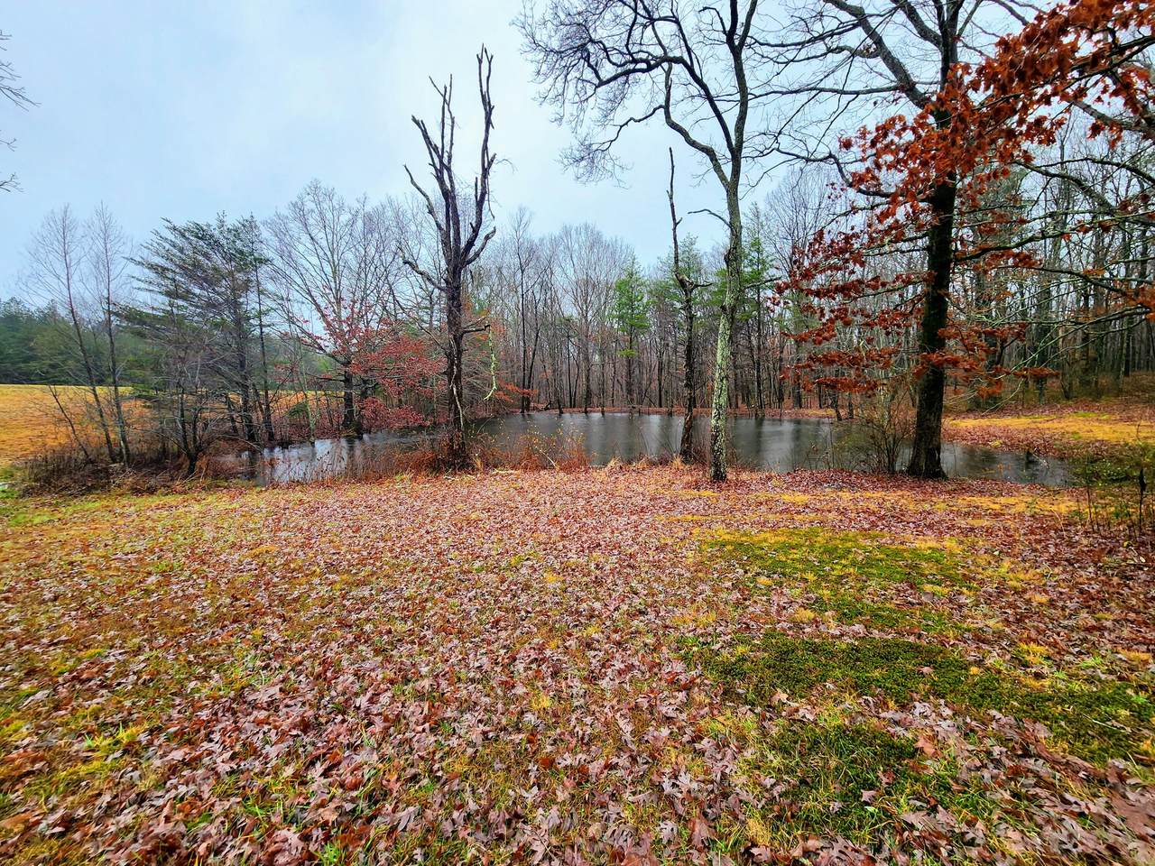 https://bt-photos.global.ssl.fastly.net/chattanooga/1280_boomver_1_1366292-2.jpg