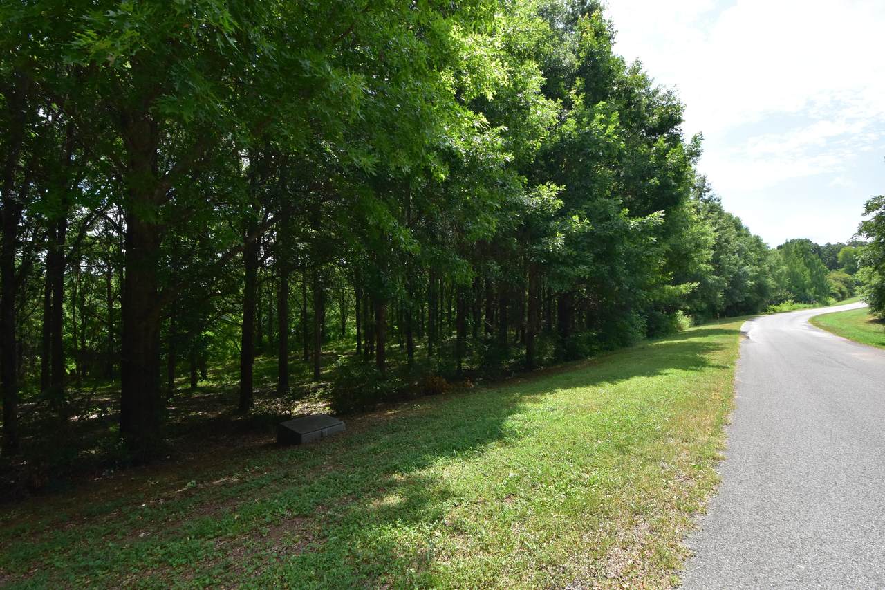 https://bt-photos.global.ssl.fastly.net/chattanooga/orig_boomver_1_1366632-2.jpg