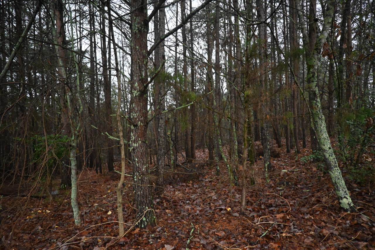 https://bt-photos.global.ssl.fastly.net/chattanooga/1280_boomver_1_1366687-2.jpg