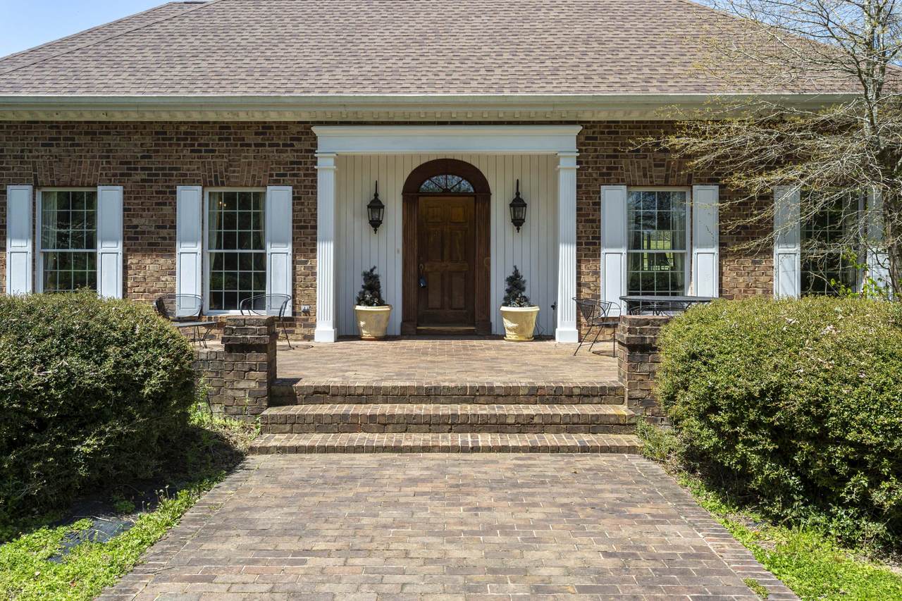 https://bt-photos.global.ssl.fastly.net/chattanooga/1280_boomver_1_1366995-2.jpg