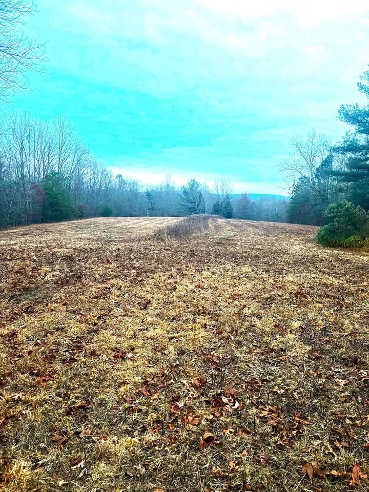 00 Old Gordon Rd - Photo 1