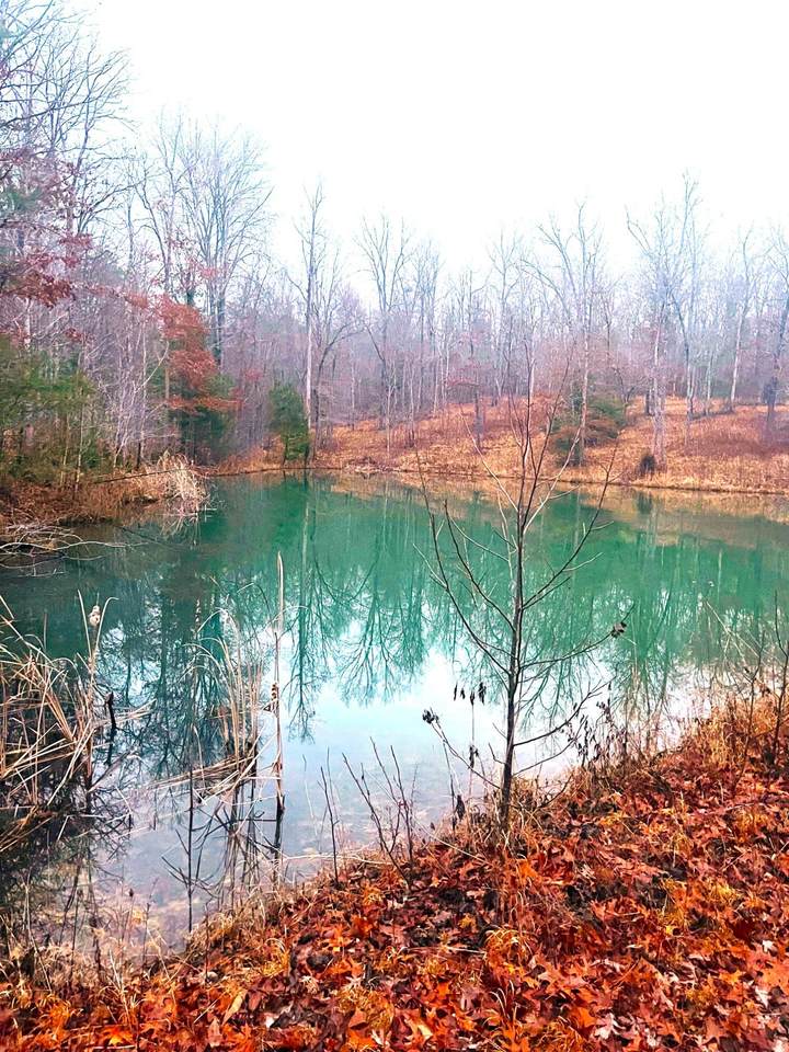 https://bt-photos.global.ssl.fastly.net/chattanooga/1280_boomver_1_1367520-2.jpg