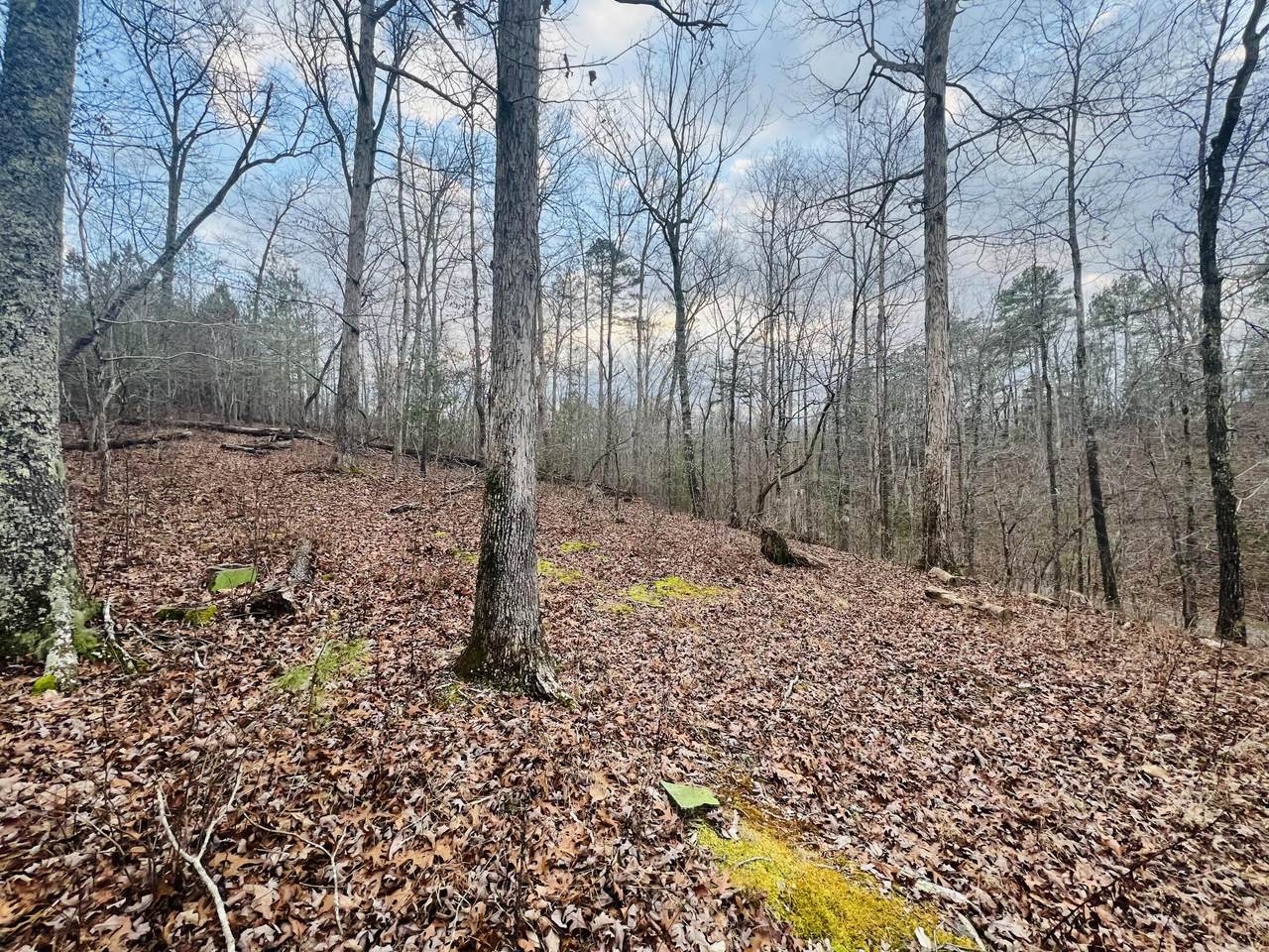 https://bt-photos.global.ssl.fastly.net/chattanooga/1280_boomver_1_1367521-2.jpg