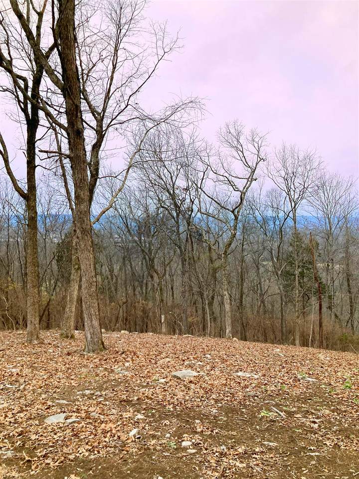 4825 Gann Store Rd - Photo 1