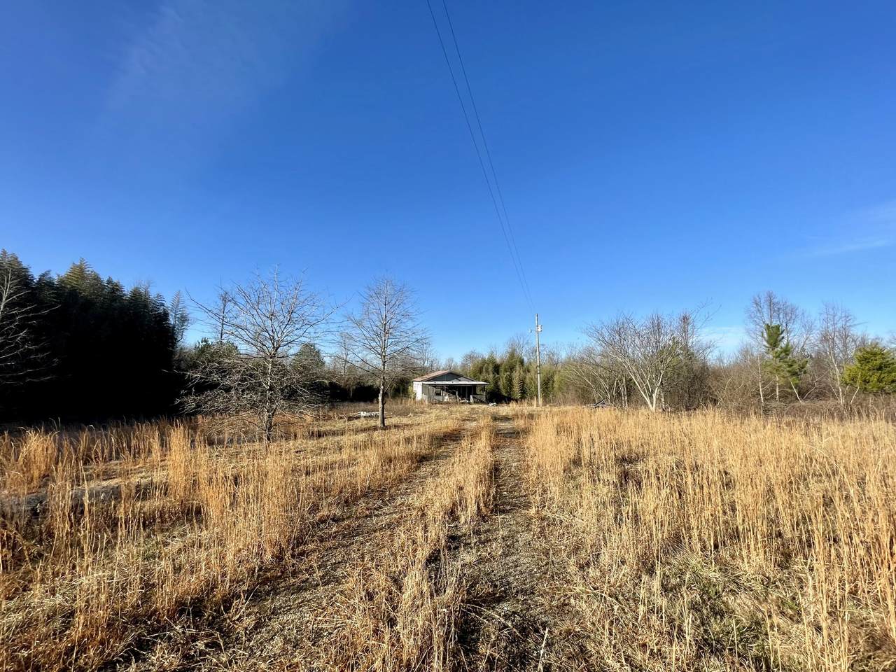249 Co Rd 678 - Photo 1