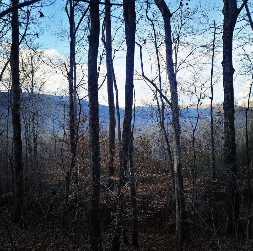 0 Highway 41 - Photo 1