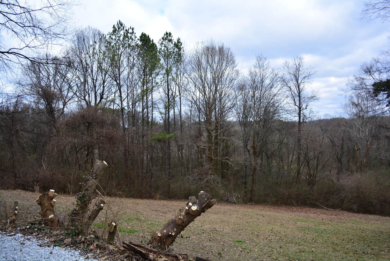 https://bt-photos.global.ssl.fastly.net/chattanooga/1280_boomver_1_1367969-2.jpg