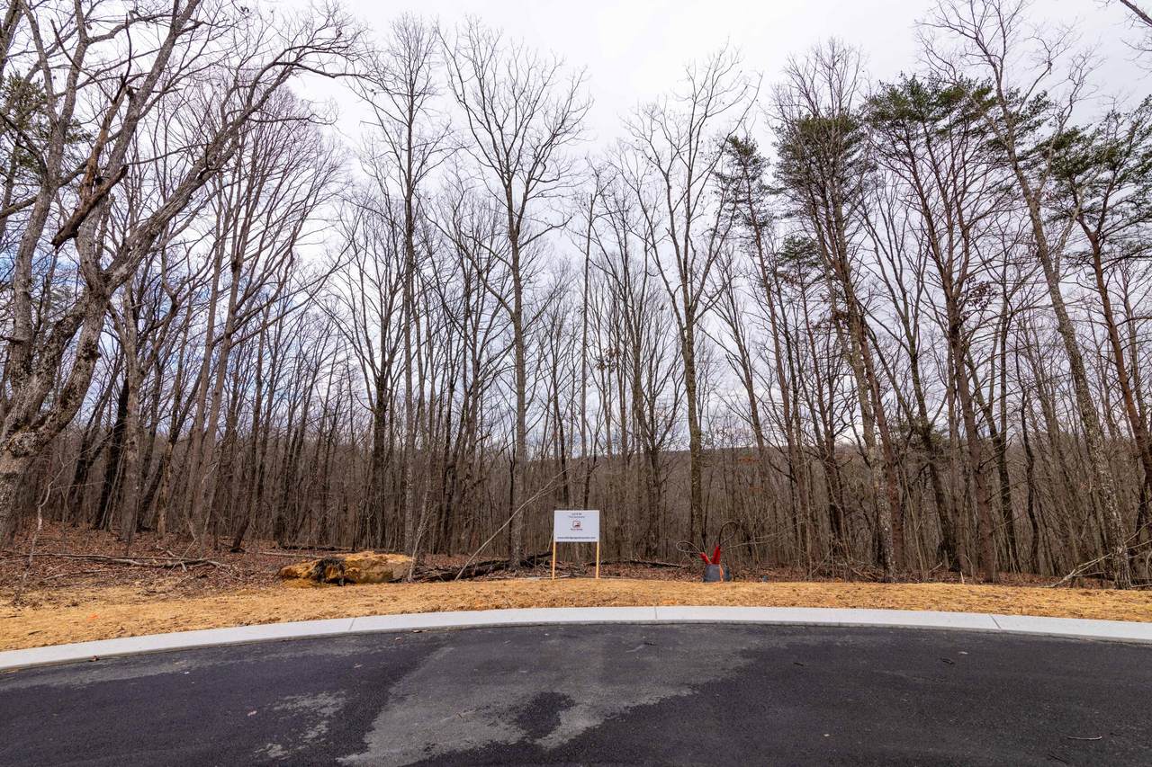 5159 Virginia Pine Rd - Photo 1