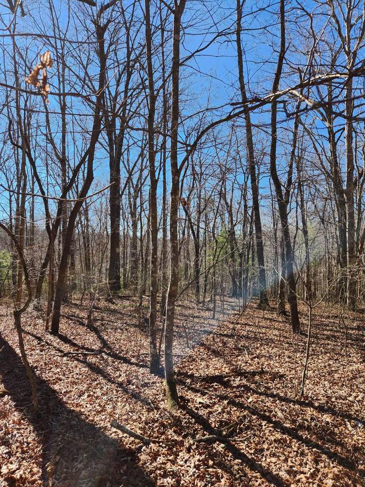 22-22 Devon Loop - Photo 1