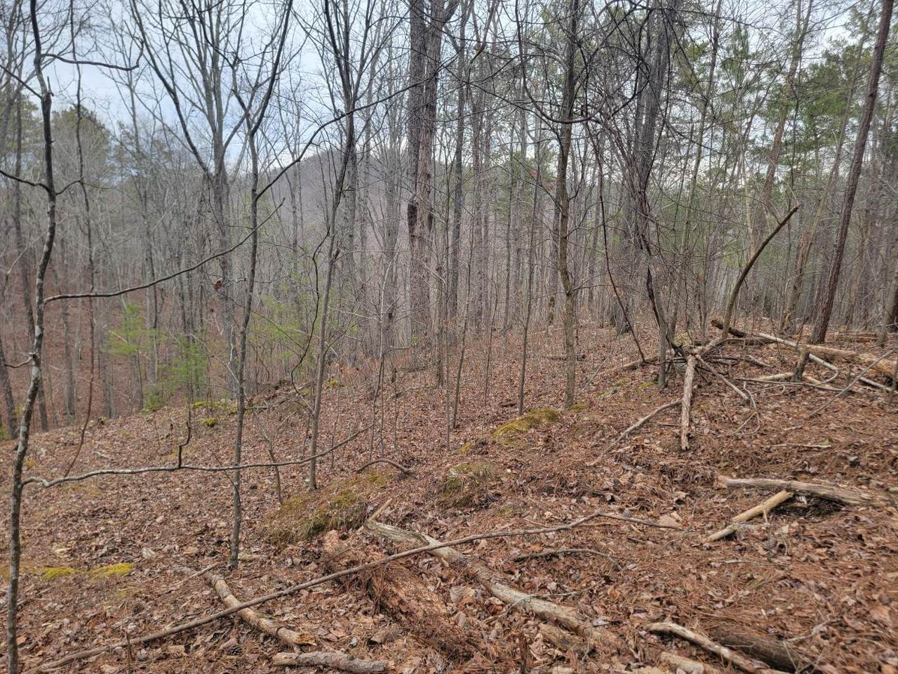 https://bt-photos.global.ssl.fastly.net/chattanooga/1280_boomver_1_1387136-2.jpg
