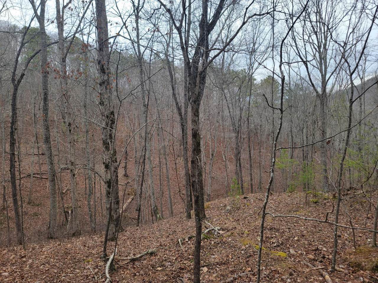 https://bt-photos.global.ssl.fastly.net/chattanooga/1280_boomver_1_1387136-2.jpg
