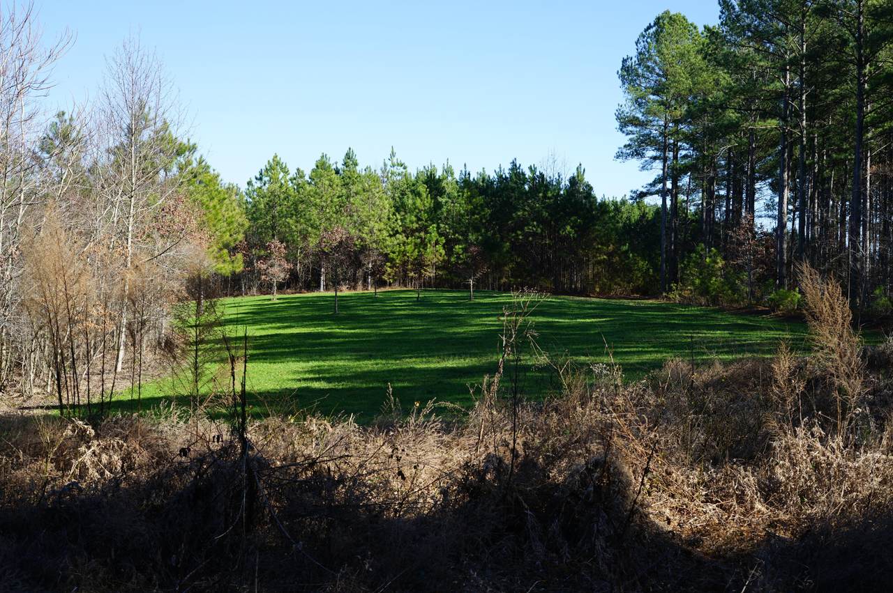 https://bt-photos.global.ssl.fastly.net/chattanooga/1280_boomver_1_1387539-2.jpg