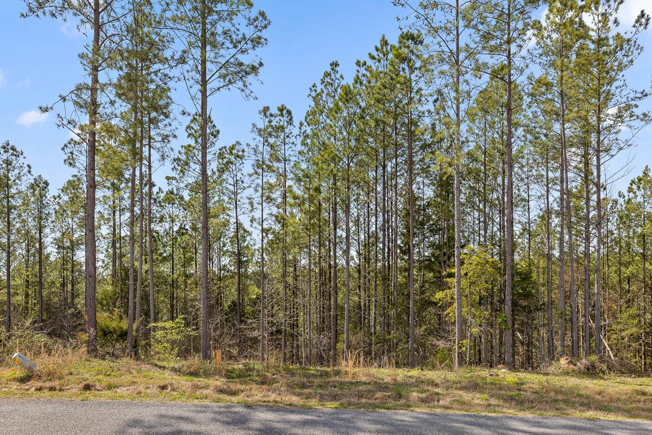 00 Co Rd 42 - Photo 1