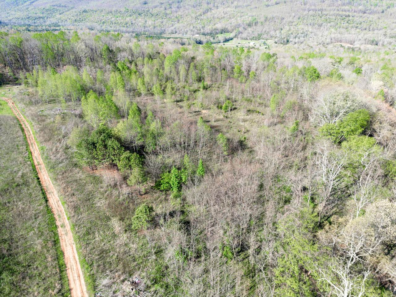 10 Acres-8-9 County Road 792 - Photo 1
