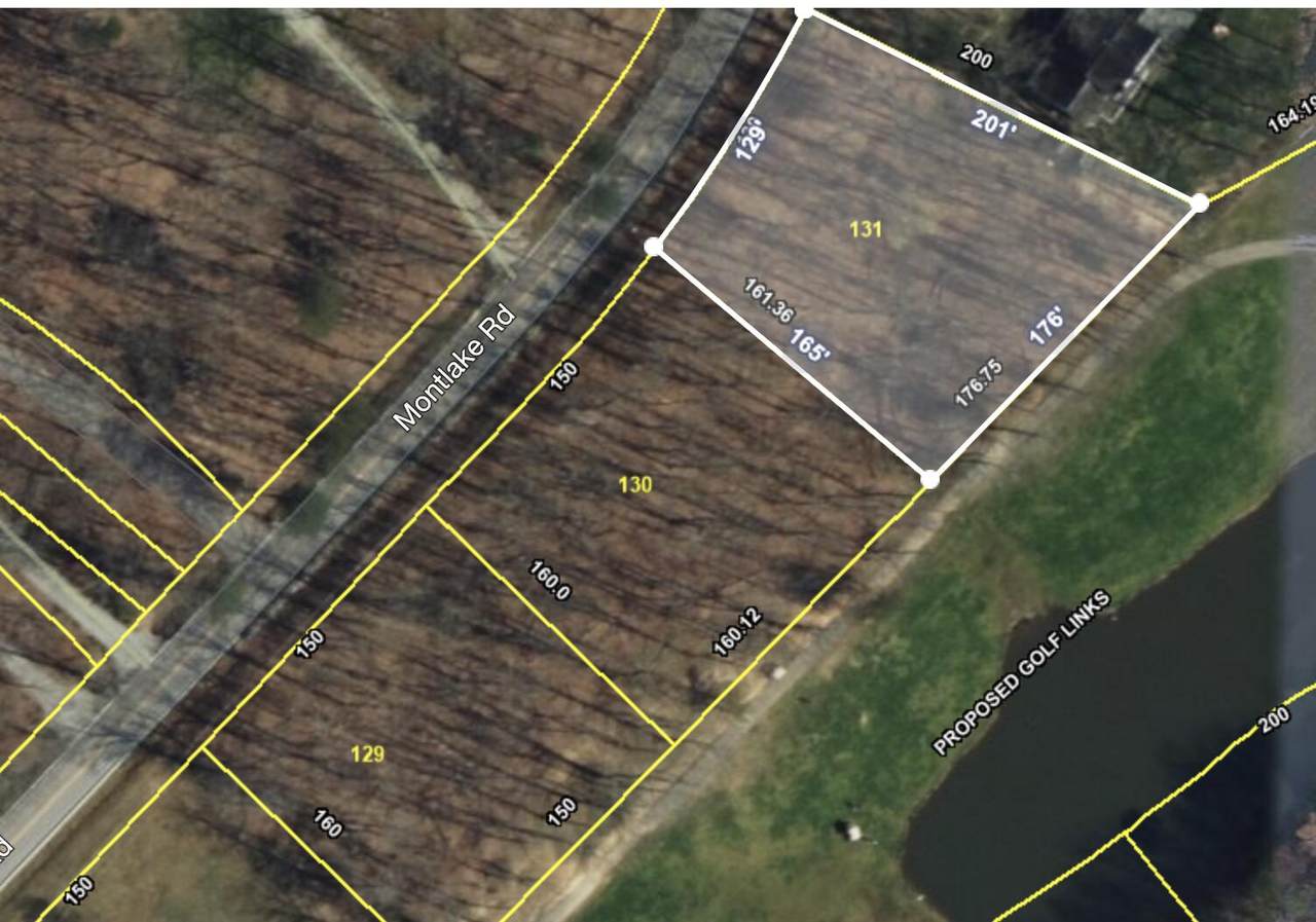 1043-131 Montlake Road - Photo 1