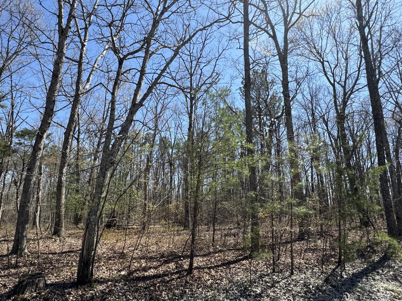 0 Bluff Road - Photo 1